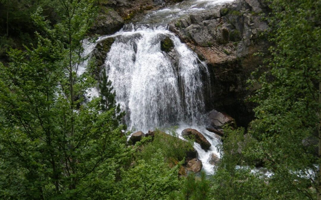 Agua de vidda